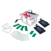 Вертикальный электрофорез BN-SCZ4 Plus