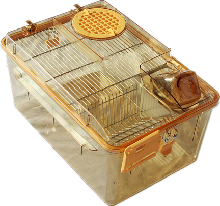 Системы индивидуально вентилируемых клеток  (ИВК) для крыс BCR-I