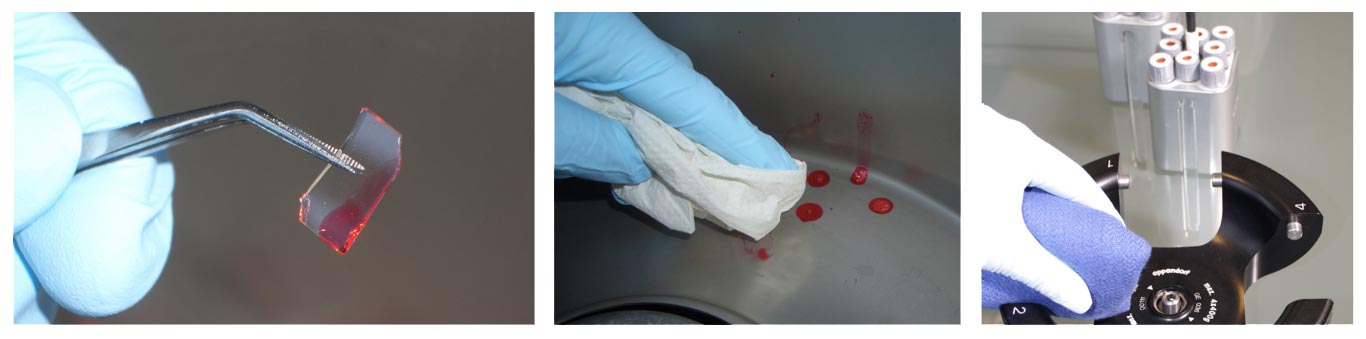  Обеззараживание центрифуги, ротора и роторных бакетов