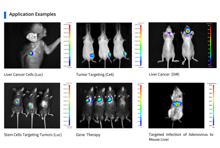 Многорежимная система визуализации животных in vivo AniView 100