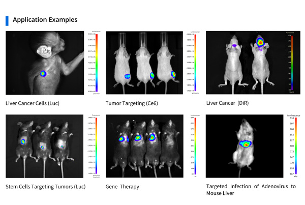 Многорежимная система визуализации животных in vivo AniView 100