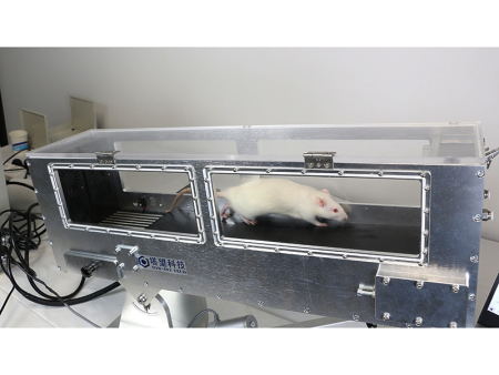 Беговая дорожка с функцией респирометрии