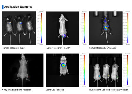 Многорежимная система визуализации животных in vivo AniView 600