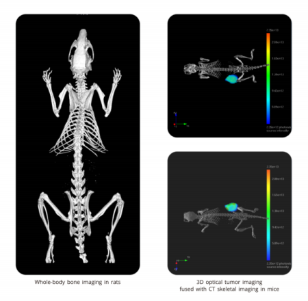 Компьютерная томография для мышей и крыс