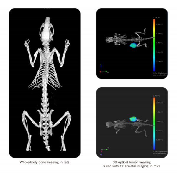 Компьютерная томография для мышей и крыс