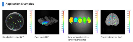 Система визуализации растений PlantView 600 In Vivo