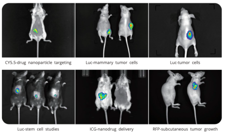 Система флуоресцентной/ люминесцентной визуализации in-vivo AniView SE