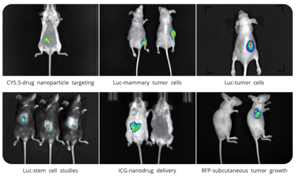 Система флуоресцентной/ люминесцентной визуализации in-vivo AniView SE
