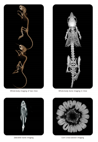 Компьютерная томография для мышей и крыс